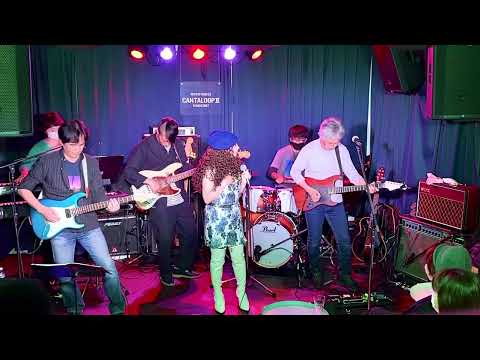 悲しみがとまらない/杏里〜The Decking Crew Live 2022/11/12