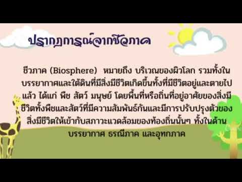 วีดีโอ: Biosphere คืออะไรและประเภทของมันคืออะไร?