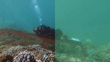 GoPro Hero 7 Black UNDERWATER FOOTAGE Before & After COLOR CORRECTION Using Premiere Pro