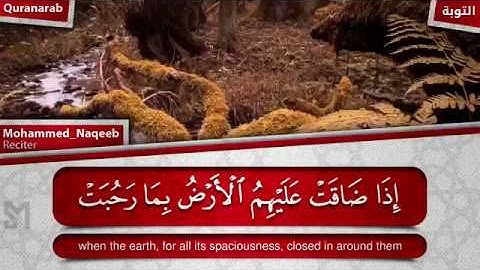 تلاوه جميله جدا من سورة التوبه على الثلاثة الذين خلفوا