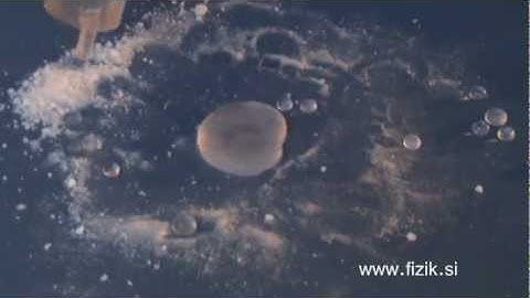 Water drops on superhydrophobic surface - surface tension - physics experiment