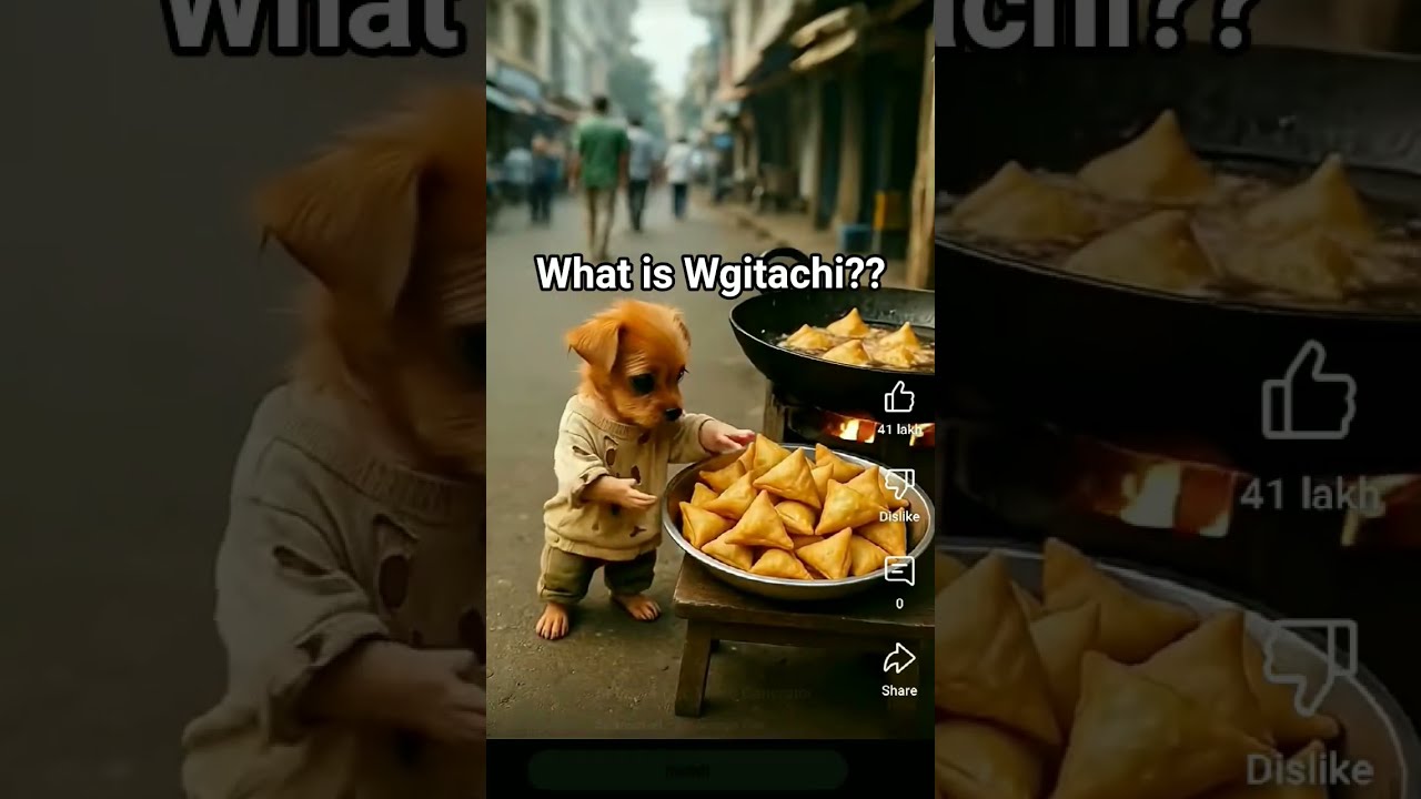 What Is Wgitachi