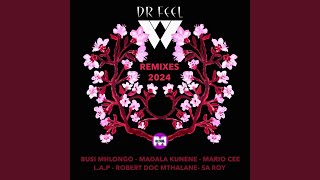 Download Lagu Tulear Mozika feat. Mario Cee (Dr. Feel Remix) MP3