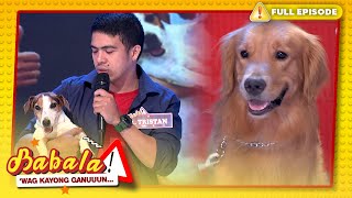 Fur parents with their fur babies! | BABALA! 'WAG KAYONG GANUUUN... | E.A.T. | Aug. 19, 2023