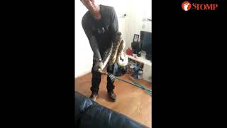 2.5M Python Pees While Getting Caught In Ser Road Flat
