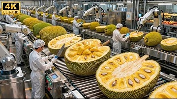Inside the Jackfruit Factory: From Fresh Jackfruit to Sweet Desserts (Full Process)