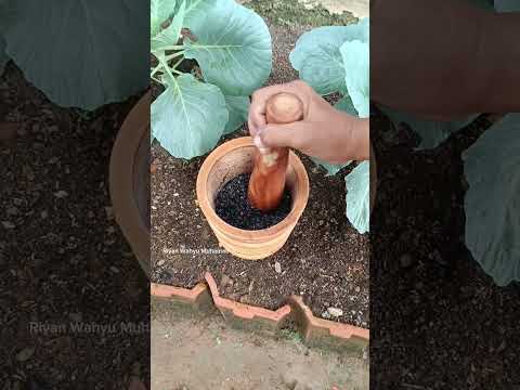 유튜브 미리보기