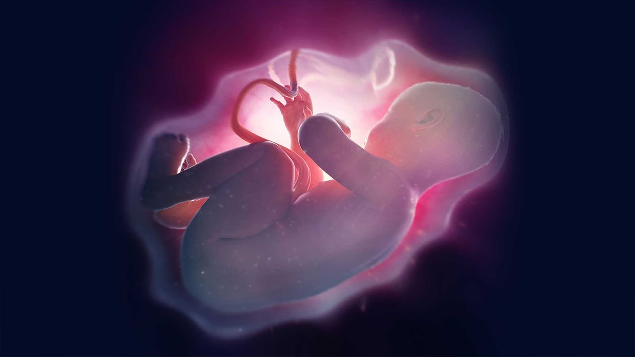 ما هى خطورة نقص السائل الامنيوسى فى الشهر التاسع ونقص ماء الجنين فى الشهر التاسع