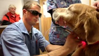 Welcome to Animal Health Clinic