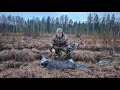 Bowhunting Estonia 2024