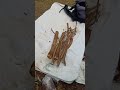 water apple stem cuttings #satisfying #shorts