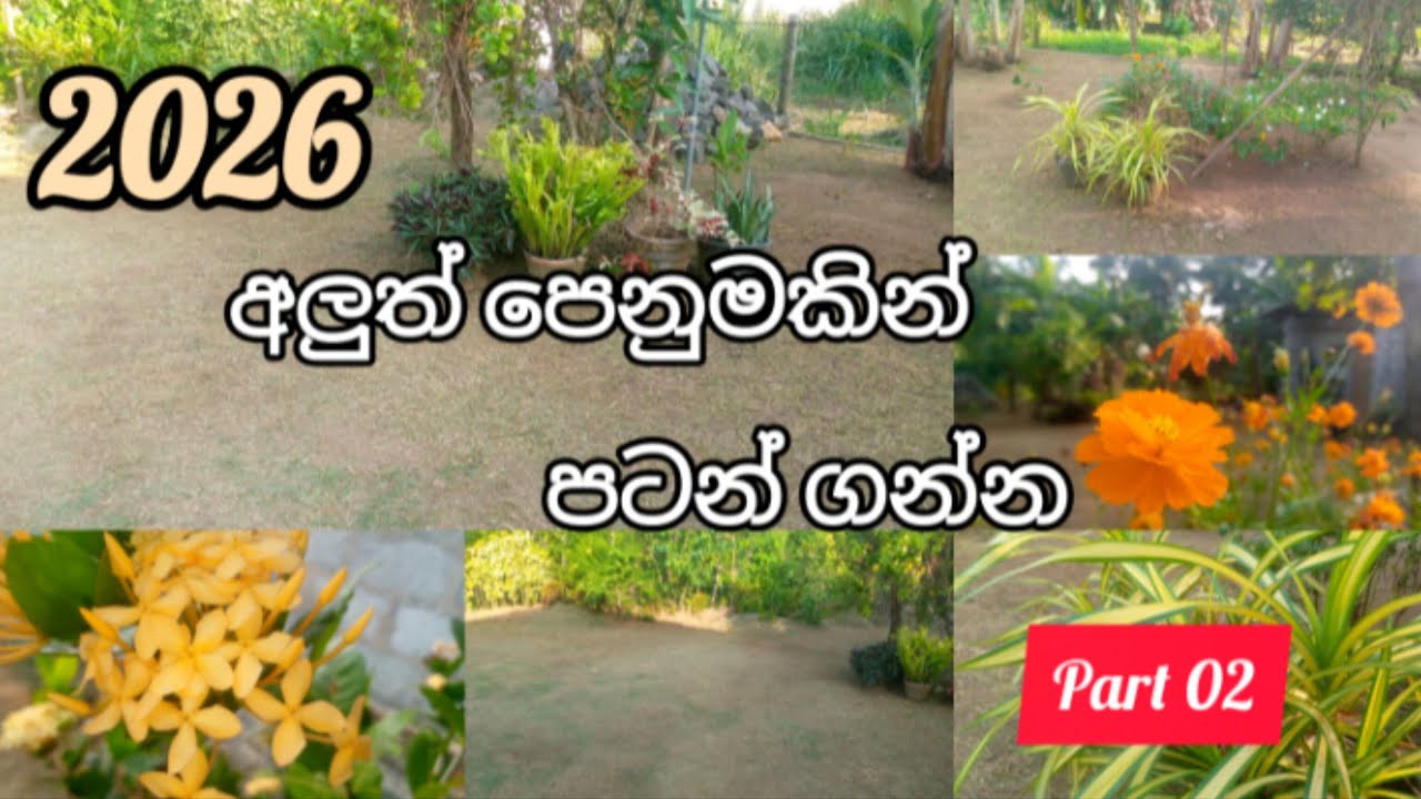 අවුරුදු එන්න කලින් මිදුල ලස්සන කරමු | Traditional New Year Garden Transformation