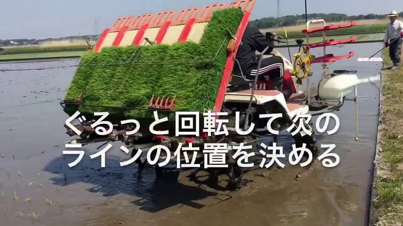 田植えの仕方 動画あり こころのせんたく