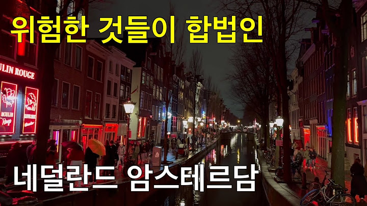 🇳🇱 마약과 성매매가 합법인 암스테르담 혼자 여행하기 (충격의 홍등가.. 🚨) 근교 하를렘 당일치기