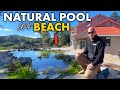 Natural swimming pool with sand beach  using biological filtration