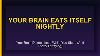 Your Brain Deletes Itself While You Sleep (And That's Terrifying)