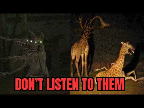 If Your Pet Suddenly Starts Talking RUN Immediately - Unnatural Habitat