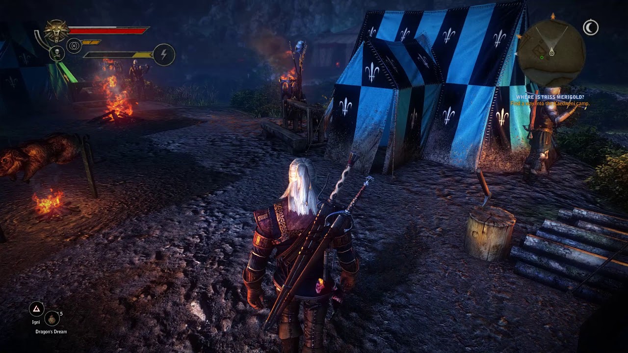 The Witcher 2 Assassins of Kings Chapter 2, Where is