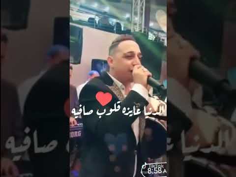الدنيا مش دنيت عافيه وله عز ومال رضا البحراوي حالات واتس اب الجديد