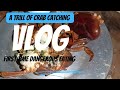 Crab Catching experience 😧
