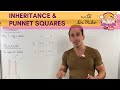 Mendelian Inheritance and Punnett Squares Explained