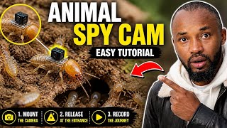 Yadda Ake Yin Animal Spy Cam Kamar Documentary