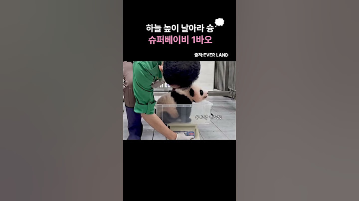 하늘높이 날아가고픈 슈퍼베이비 쌍둥이 아기판다 1바오🩷쑥쑥 너무 잘크고있는 우리 쌍둥바오들🩷