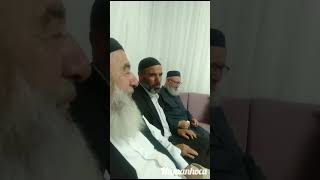 Meyvesiz Ağacı Sallama Boşa Ne Yaprağa Dokun Ne Dalı Incit