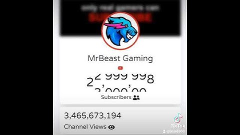 Exact Moment MrBeast Gaming Hit 23 Million Subscribers! | #Shorts [17]