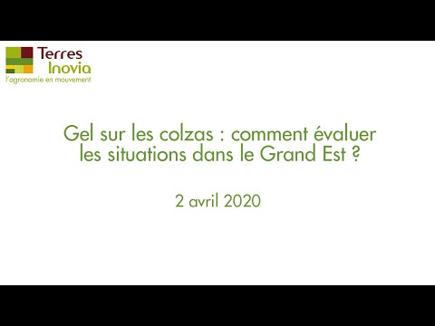 Vidéo: Quand peut-on s'attendre au dernier gel ?