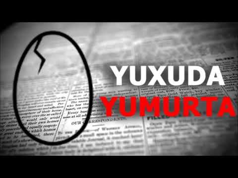 Video: Pomidor qazı yumurtası: çeşidin təsviri, xüsusiyyətləri, böyümək xüsusiyyətləri, rəylər