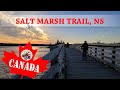 #72 Наша прогулка по Salt Marsh Trail в ноябре. Прекрасная природа Новой Шотландии в 5 мин. от дома