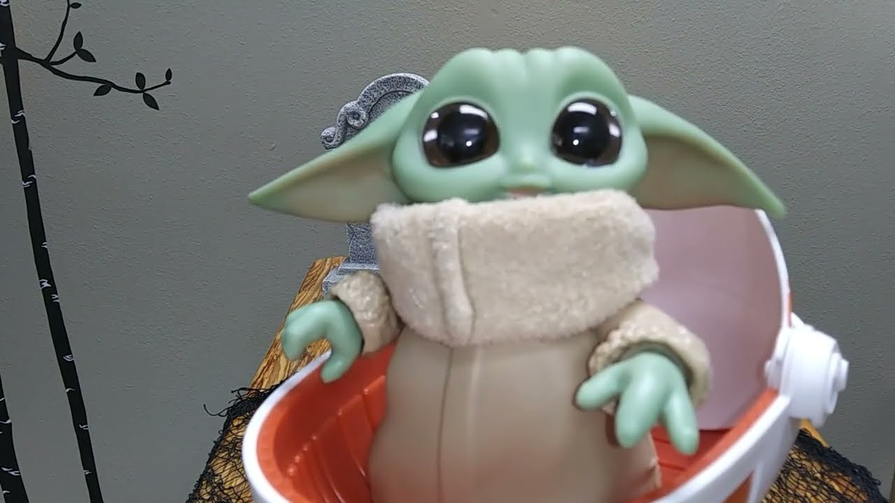 WILD RIDIN GROGU FUN - YouTube