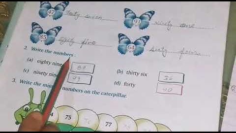 Number names | Numbers names Up to 999 | Grade 2 | Maths | Lotsoftutorials