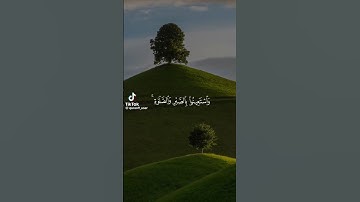 استمع القرآن الكريم واكتب يارب #القرآن_الكريم #comedianmahmoudagamey #محمودعجمي.