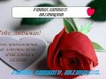 FARRUX XAMRAEV ARZIMAYSAN 1995 08 08 