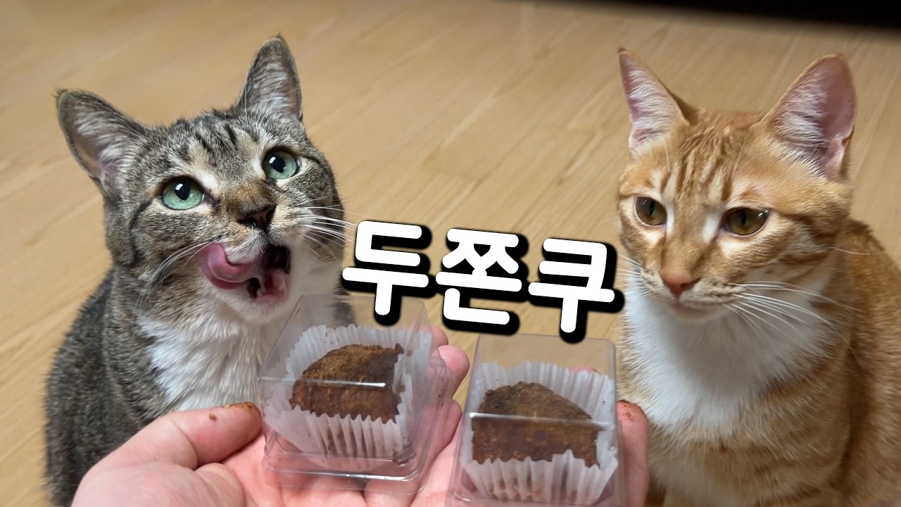 애들아 이게 그렇게 먹고 싶었어?