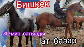 11-МАЙ.. Бишкек ат базар аттар сатылды 70.80 миңден базар кызыды💥💥🔥🔥🔥🔥