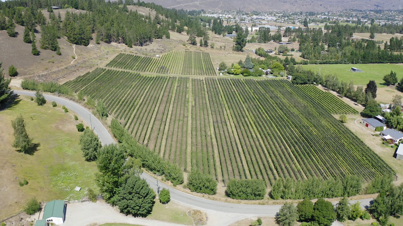 Judge Rock Spotlight