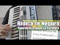 Tutorial "Ridică-te Negură" pentru Acordeon (Cu Partitura)