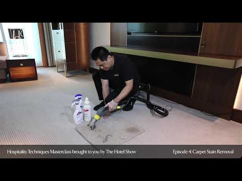 Hospitality Techniques Masterclass | Episode 4: Carpet Stain Removal