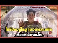 ใช้ชีวิตอยู่ในลูกบอลพลาสติก ตั้งแต่เล็กจนโต (สปอยหนัง) bubble boy (2001)