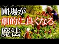 【絶対使うべき】圃場が劇的に良くなる「緑肥活用法」