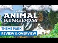 Post-Pandora Pandemonium? - Disney’s Animal Kingdom Review & Overview