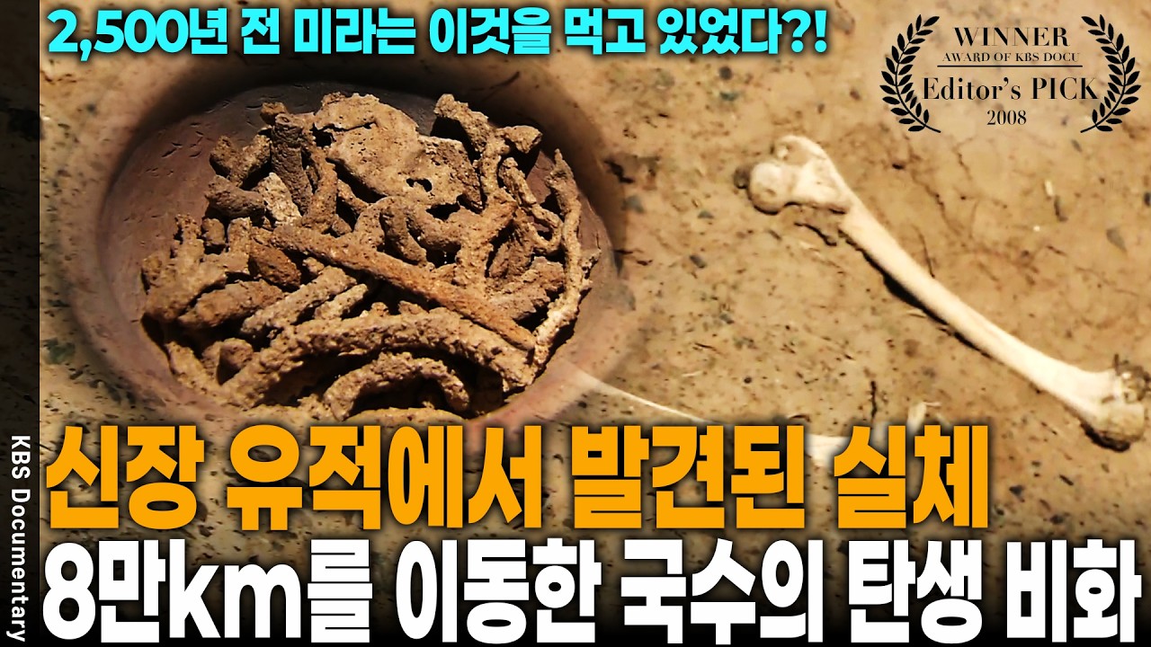 3,000년 전 미라의 무덤에서 발견된 '국수', 인류는 왜 이 기묘한 음식을 만들었나? | KBS 인사이트 아시아 누들로드 20081207 방송