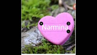 Nermine Adina Uygun Video .