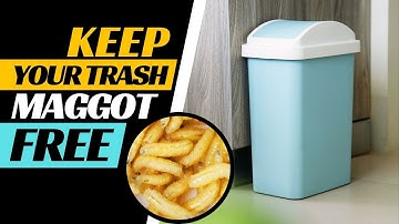 How to Prevent Maggots from Getting in the Trash?