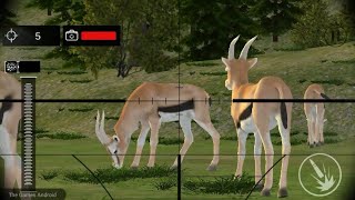Real Jungle Animals Hunting - Best Shooting Game - Sniper Deer Hunting Games - Android Gameplay screenshot 4