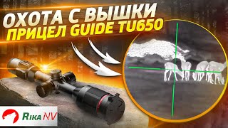 Guide TU650 охота с вышки. Выстрел по косуле.