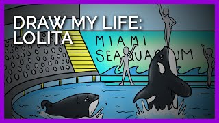 Draw My Life: Listen to Lolita, the Orca, Tell Her Story
